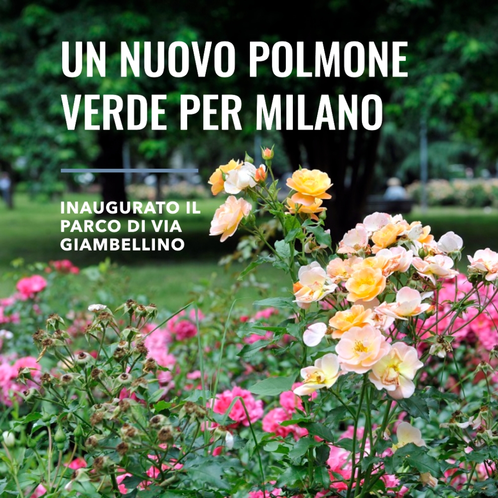 Inaugurato il Parco di Via Giambellino: Un Nuovo Polmone Verde per Milano