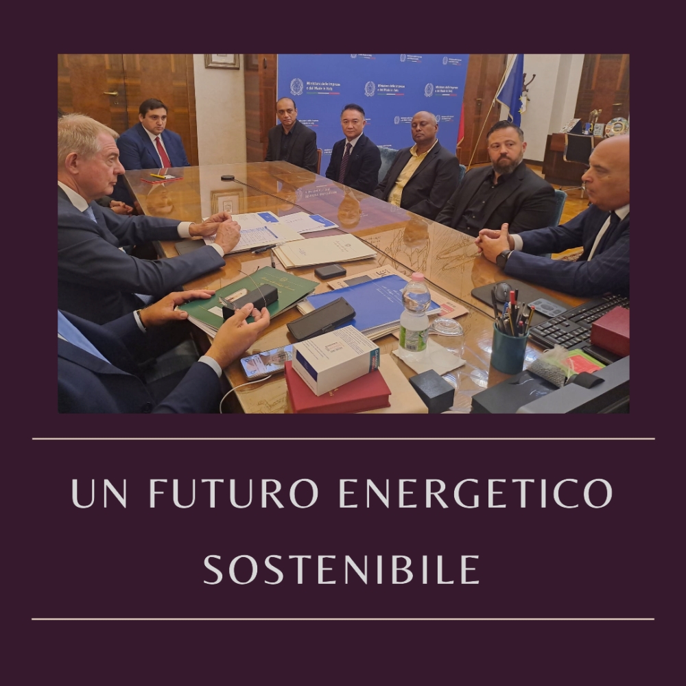 Renesys Energy: Un Impegno per il Futuro Energetico dell'Italia