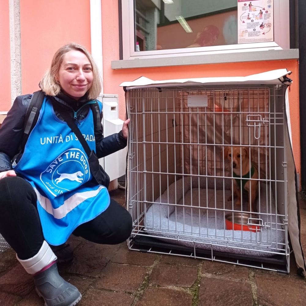 A Milano i box per i cani dei senza dimora. Così non devono più scegliere se entrare o restare fuori