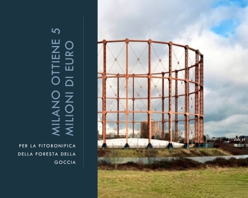 Milano Ottiene 5 Milioni di Euro dall'UE per la Fitobonifica della Foresta della Goccia