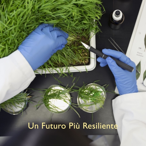 UVM e NIST Creano il Centro di Eccellenza per le Misurazioni Climatiche: Un Futuro Più Resiliente