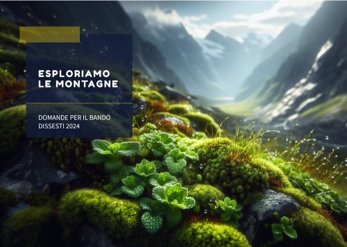 Sicurezza nei Territori Montani: 267 Domande per il Bando Dissesti 2024