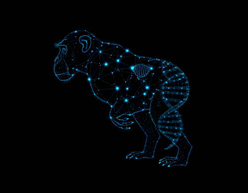 FDA Puts the Brakes on Animal Testing: New Guidelines to Reduce Primate Use in Drug Development